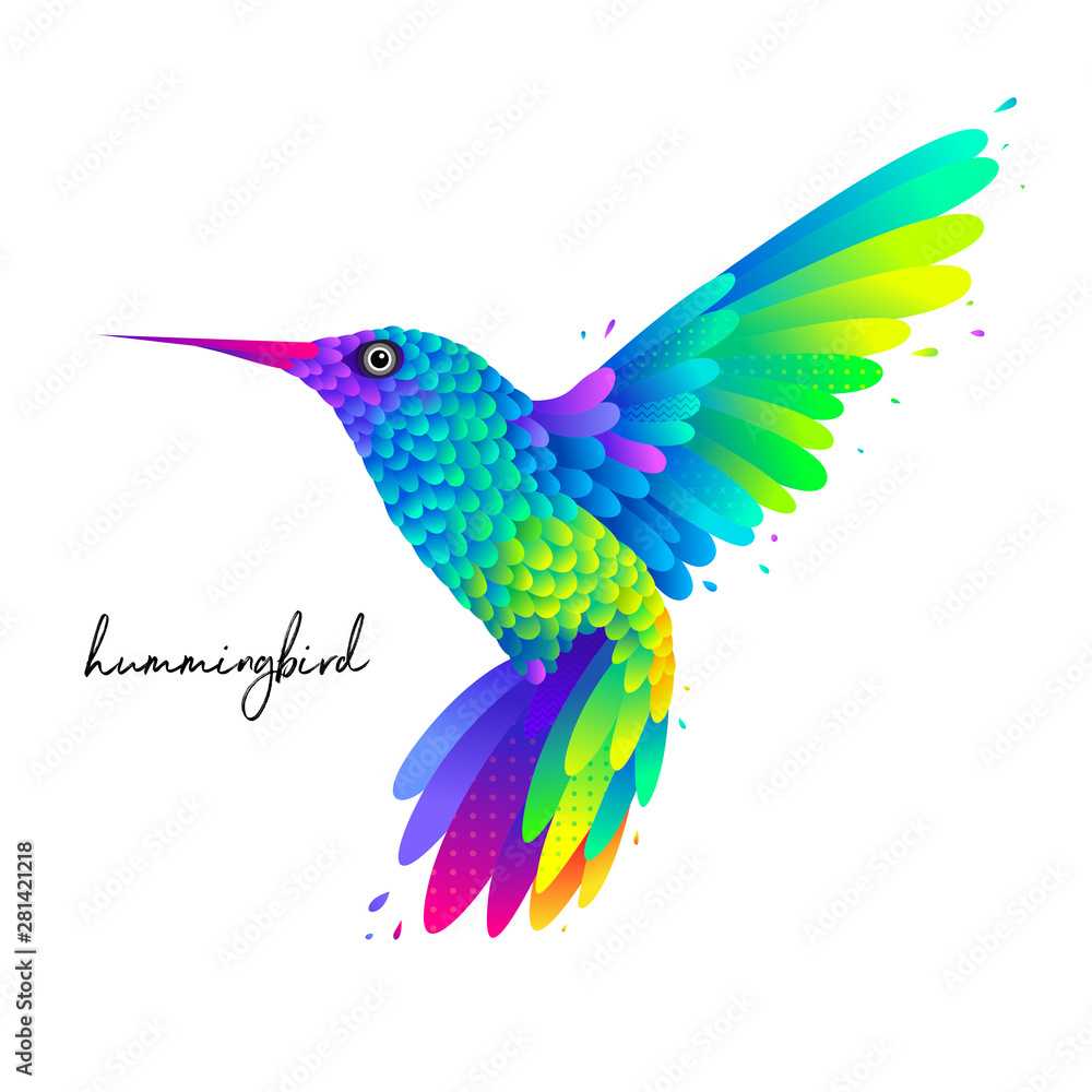 Flying colorful hummingbird bird isolated vector illustration with colorful feathers and wings