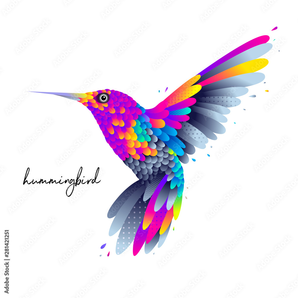 Naklejka Latający kolorowy ptak koliber na białym tle ilustracji wektorowych z kolorowymi piórami i skrzydłami