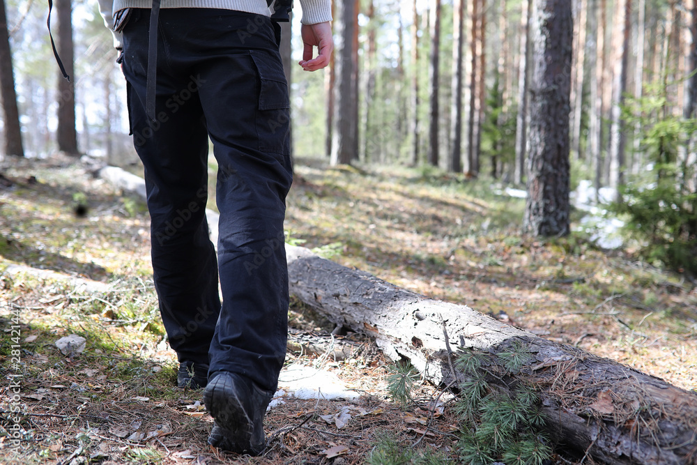 A man is a tourist in a pine forest with a backpack. A hiking trip through the forest. Pine reserve for tourist walks. A young man a hike in the spring. A man is a tourist in a pine forest with a backpack. A hiking trip through the forest. Pine reserve for tourist walks. A young man a hike in the spring.