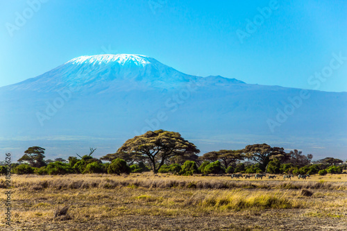 Impressive travel to Kenya, Africa © Kushnirov Avraham