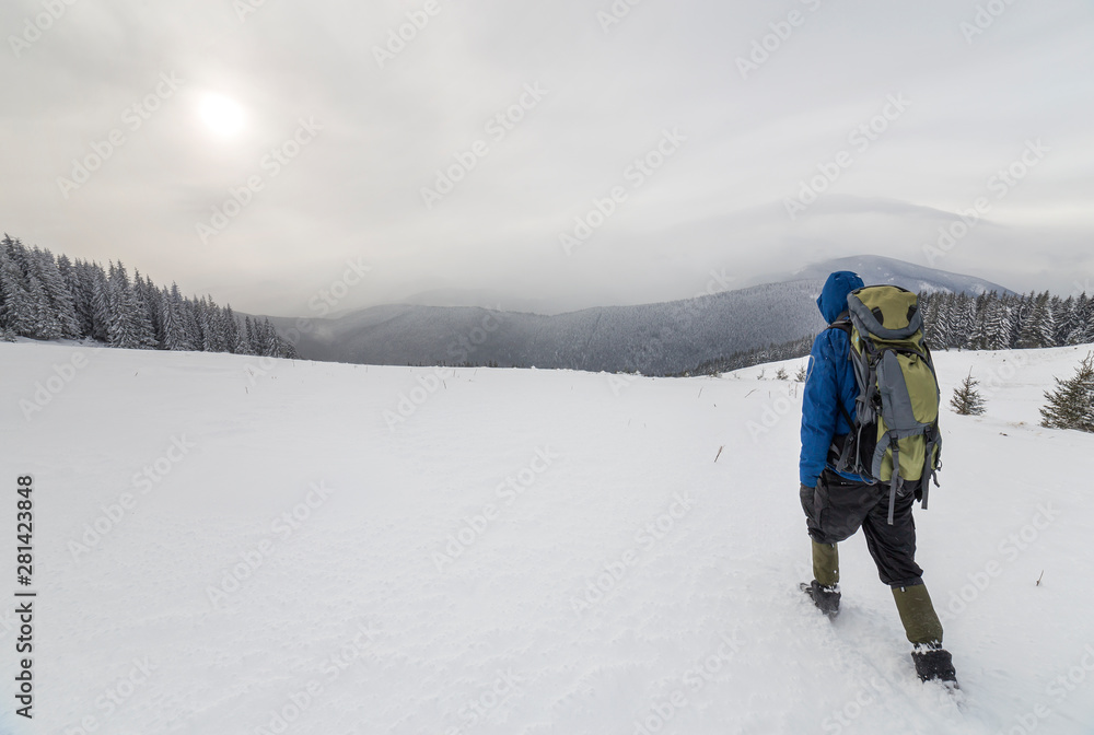 Back view of tourist hiker in warm clothing with backpack walking upward mountains covered with snow on spruce forest and cloudy sky copy space background.