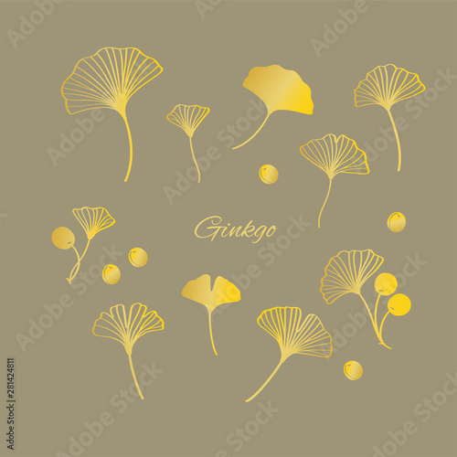 Gold ginkgo leaves and nuts vector illustration set