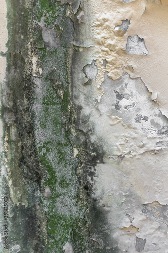 Mold and peeling paint on wall