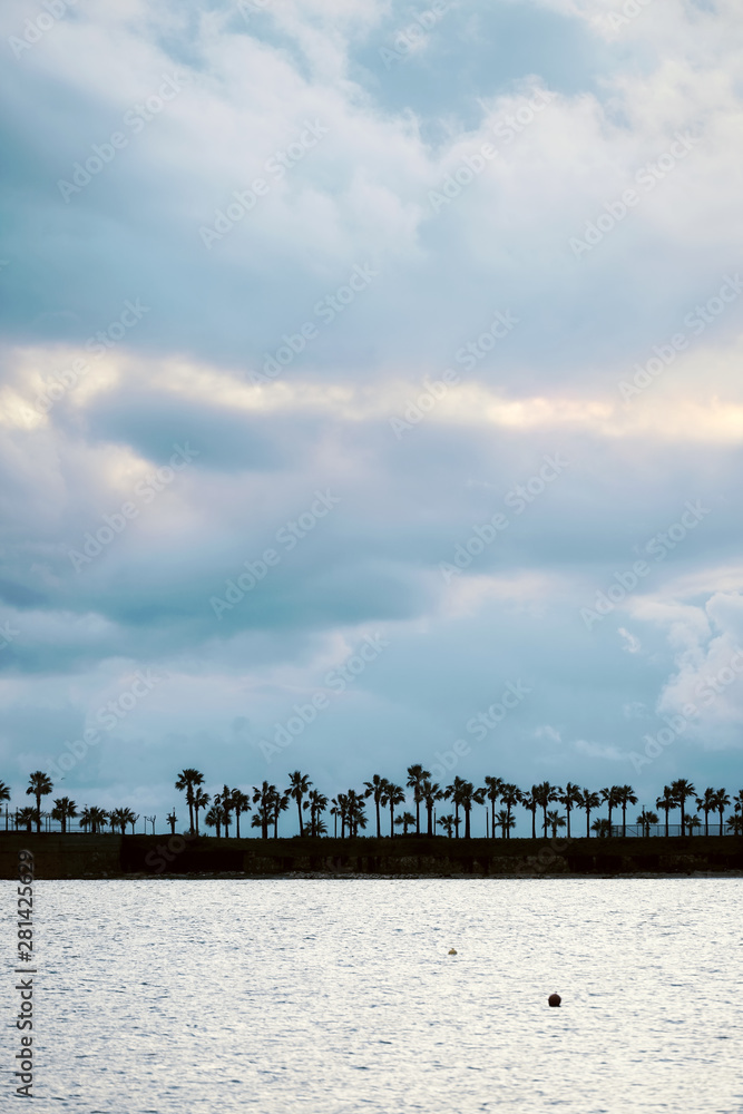 Dark silhouettes of palm trees, sea and amazing cloudy sky at sunset. Distant view. Minimalist landscape wallpaper, background.