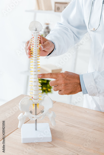 cropped view of doctor in white coat pointing with finger at spine model