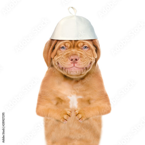 Smiling puppy with a hat for a sauna. isolated on white background