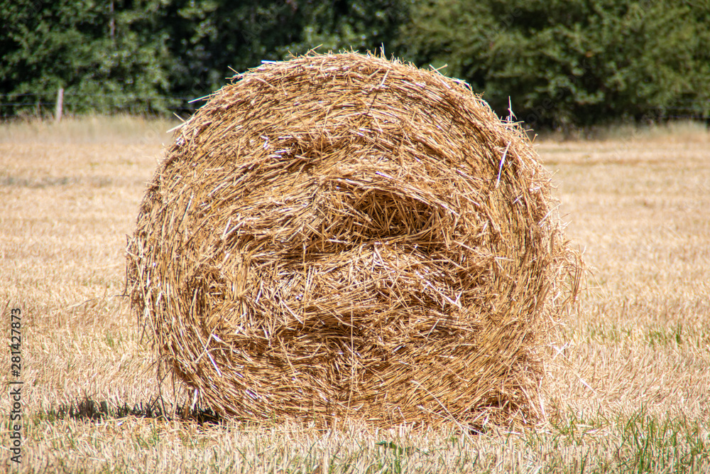 Meule de paille Meule de paille
