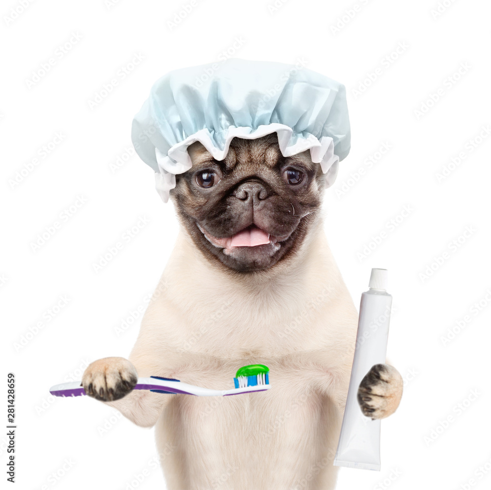 toothpaste for pugs