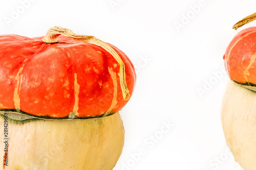 Orange pumkins  on white background. Fall autumn concept. photo