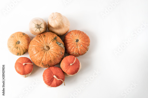 Pumpkins on white background fall autumn concept.