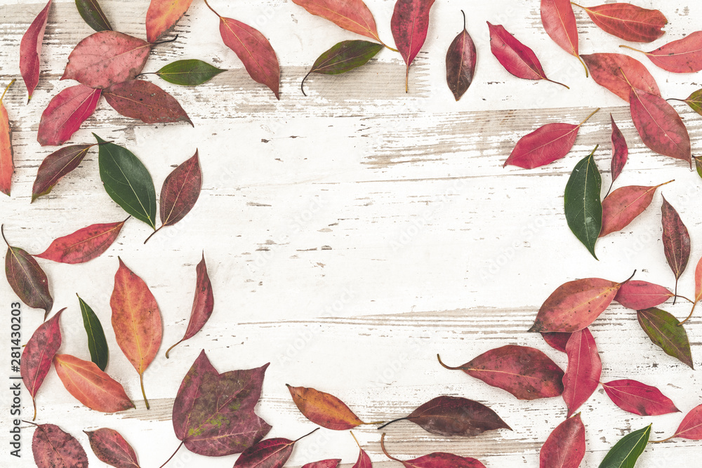 Fototapeta premium autumn fall flat lay, top view arrangement, colourful autumn leaves on white background, flat lay, top view, copy space