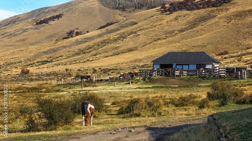 Fotografie Scenic view to lonely horse ranch with typical natural  landscape on background