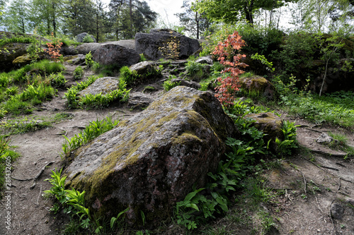 Mon repos - rocky landscape park of the 18th century on the bank of the Zashchitnaya Bay in the city of Vyborg  Russia