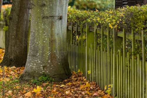 Fototapeta Naklejka Na Ścianę i Meble -  gardens of estate charlecote park warwickshire england uk