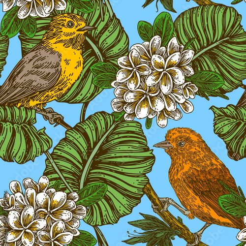 Little tropical birds sitting on tree branches and plumeria flowers. Vintage seamless pattern. Color. Engraving style. Vector illustration.
