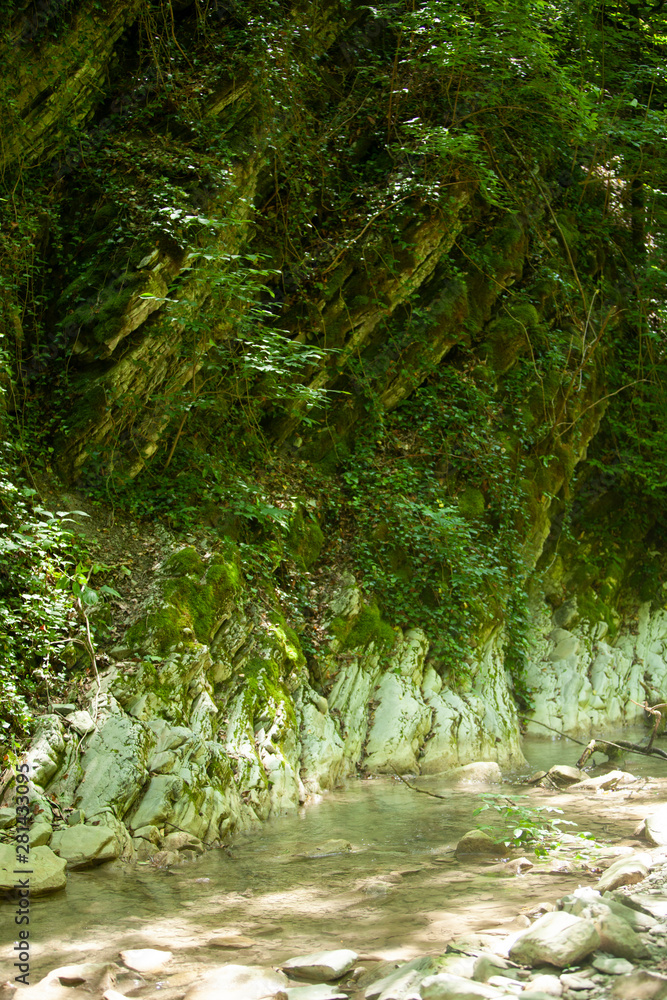 Obraz premium sheer rock covered with moss