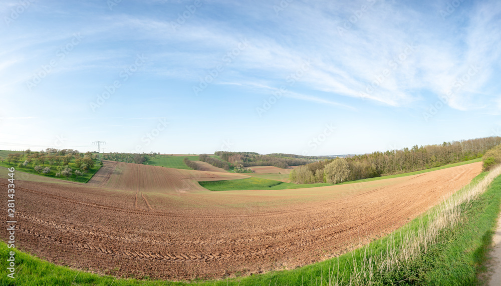 Agricultural field with plant shoots Agricultural field with plant shoots