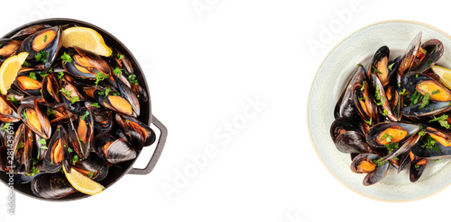 Mussels design. Boiled mussels in a pan and on a plate, isolated on a white background with a place for text