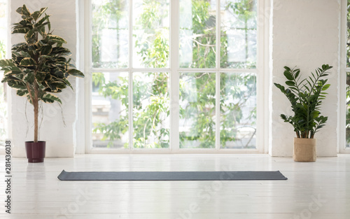 Fototapeta Naklejka Na Ścianę i Meble -  Contemporary room with yoga mat potted plants sunlight through window