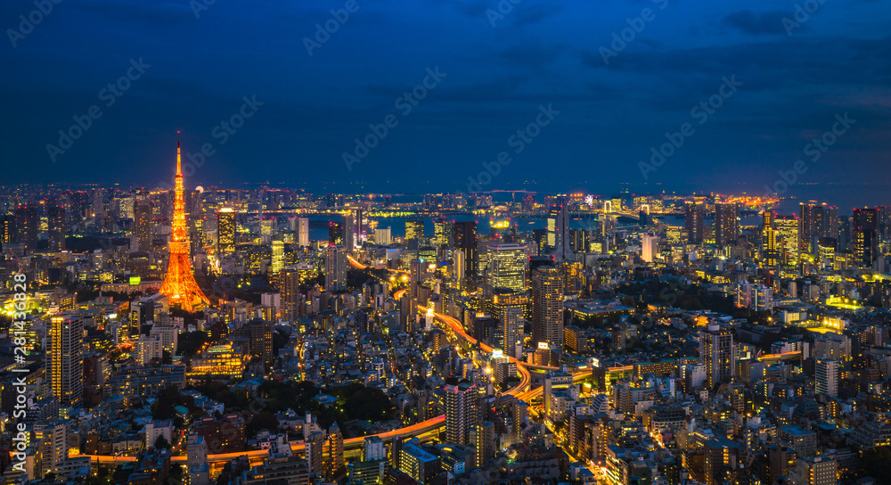 Tokyo night scene, panoramic view