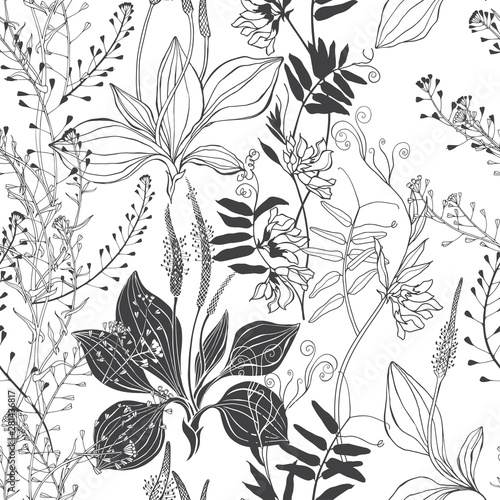 Seamless vector pattern with wildflowers on a white background. Grass mouse peas with flowers, plantain and shepherd's purse.Silhouettes and line art.