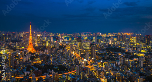 Photography Tokyo night scene, panoramic view