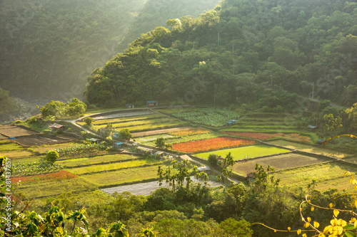 The view on the crop field in Taiwan photo