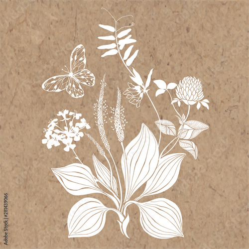 A bouquet of wild flowers and herbs with butterfly. Summer background on kraft paper. Vector illustration. Isolated element for design. Silhouette.