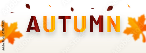 Colorful paper cut text AUTUMN with maple leaves on white background for Advertising header or banner design. photo