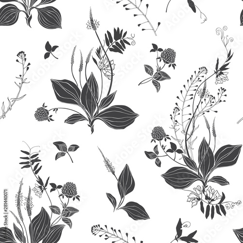 Seamless vector pattern with wildflowers and wildherbs on a white background. Grass mouse peas with flowers, plantain and shepherd's purse, bluebell, clover.Silhouettes.