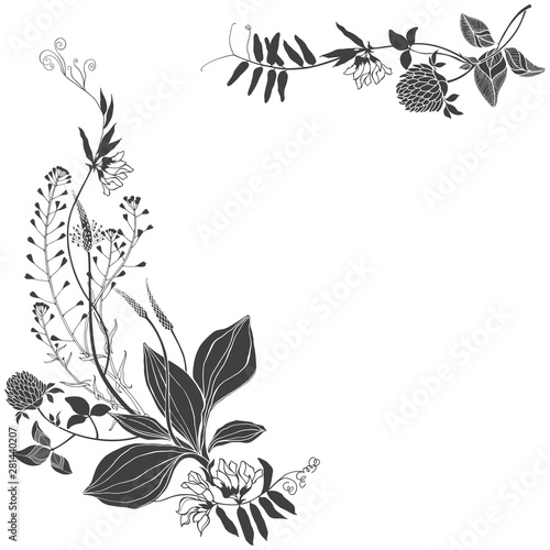 Floral background with wildflowers, herbs and space for text on white. Invitation, greeting card or an element for your design. Vector. Silhouette.