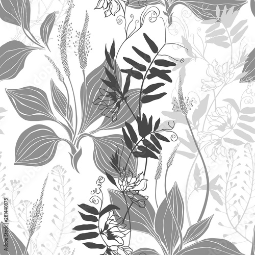 Seamless vector pattern with wildflowers on a white background. Grass mouse peas with flowers, plantain and shepherd's purse. Silhouettes and line art.