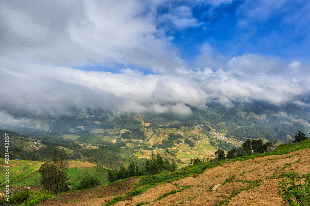 Fototapeta premium Beautiful view of Vattavada, Munnar, Kerala, India