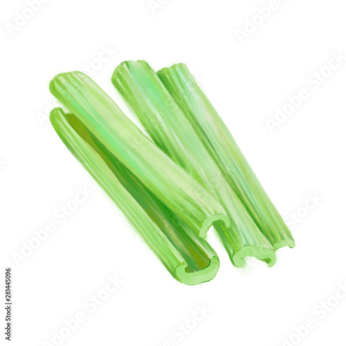 Hand drawn digital illustration in watercolor style. Ripe realistic celery stalk, perfect rendered vegetables isolated on the white background - Illustration
