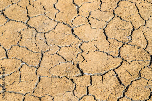 Dry cracked earth, brown ground texture.