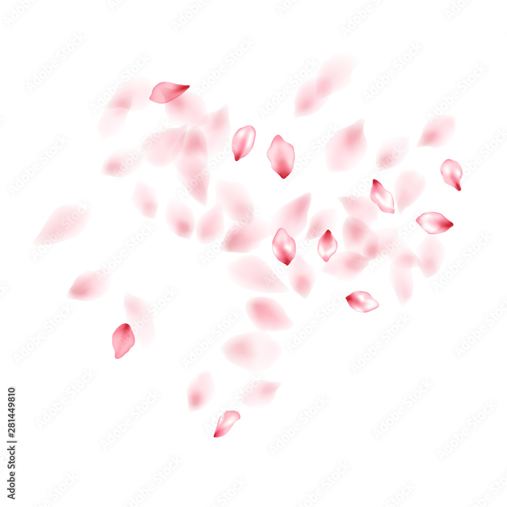 Pink sakura flower flying petals isolated on white vector background.