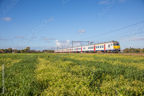 Train in a yellow field