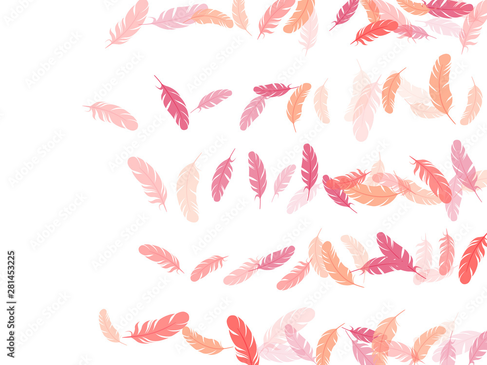 Falling feather elements soft vector design. Falling feather elements soft vector design.