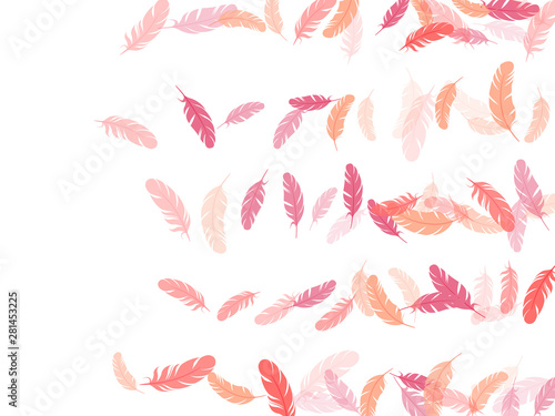 Falling feather elements soft vector design.