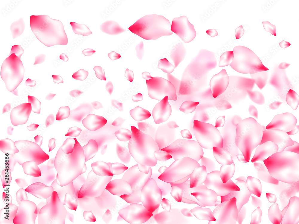 Japanese cherry blossom pink flying petals Japanese cherry blossom pink flying petals
