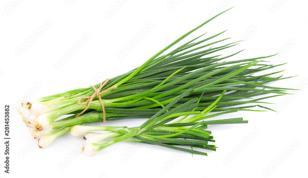 Green onion isolated on the white background Green onion isolated on the white background