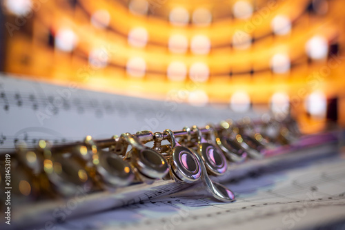 close-up of a flute against a concert hall background