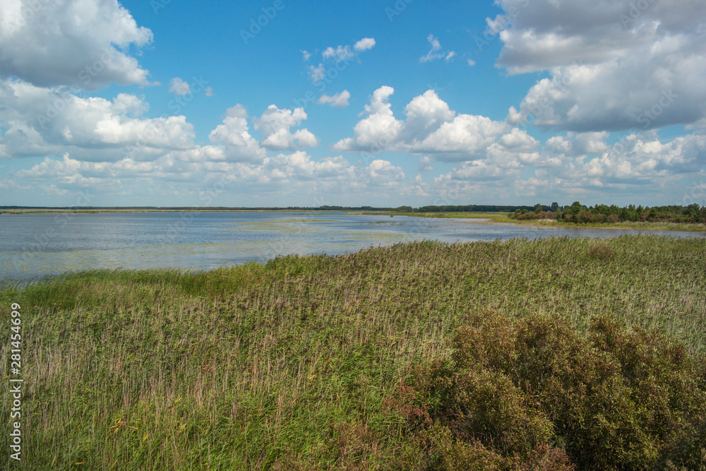 Swampy lake with blue sky and clouds in background