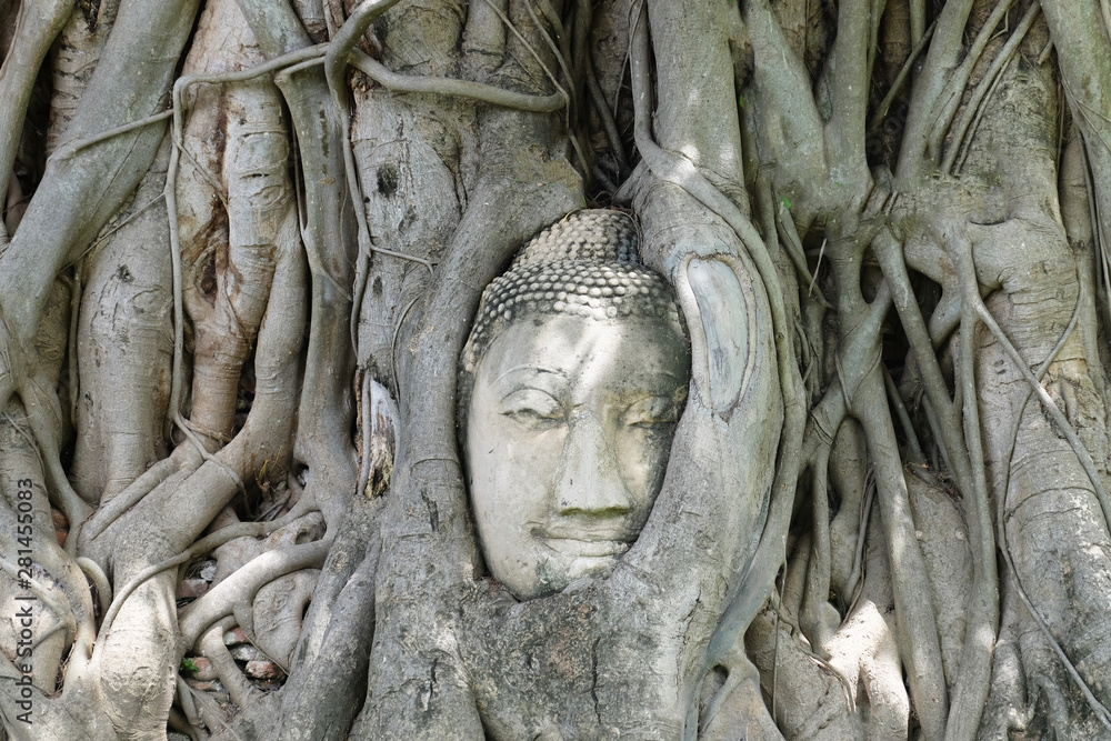 Sandstone Buddha's Head in The Tree Roots in Thailand