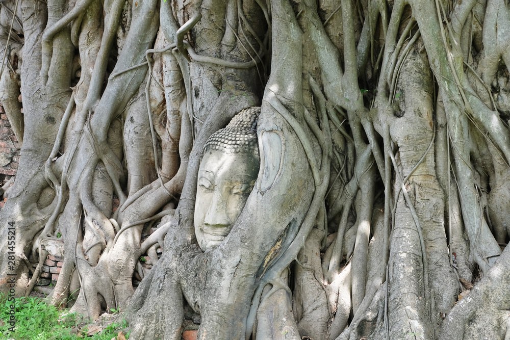 Sandstone Buddha's Head in The Tree Roots in Thailand Sandstone Buddha's Head in The Tree Roots in Thailand