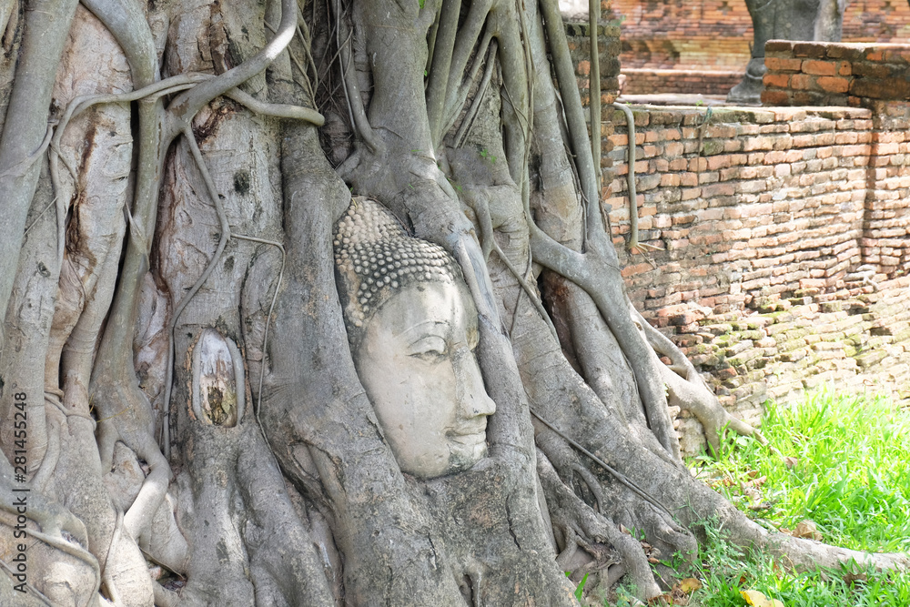 Sandstone Buddha's Head in The Tree Roots in Thailand