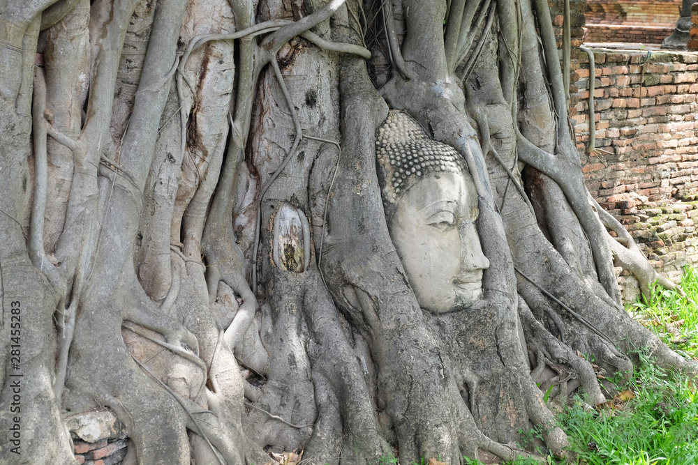 Sandstone Buddha's Head in The Tree Roots in Thailand