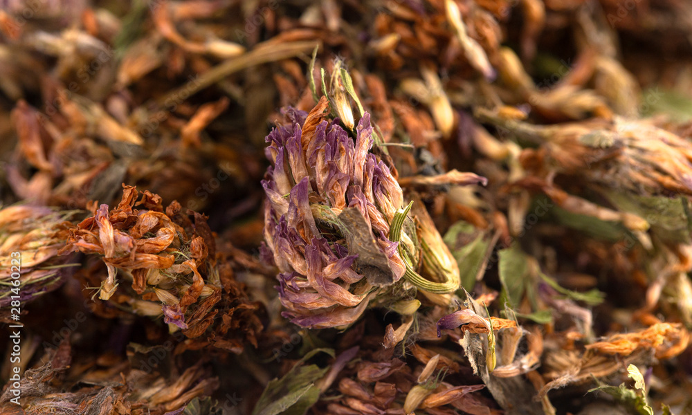 Dried Red Clover Flowers and Leaves Dried Red Clover Flowers and Leaves
