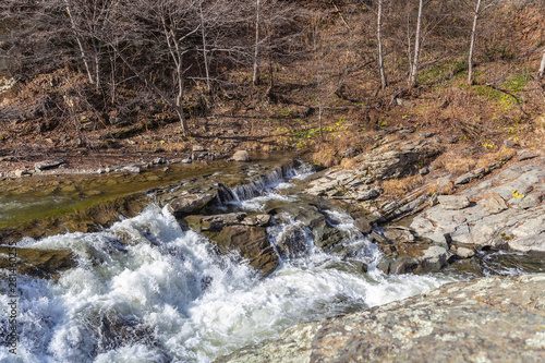 Rapids on a mountain river