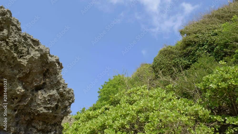 A handheld movement shot of rock on tropical beach with green trees A handheld movement shot of rock on tropical beach with green trees
